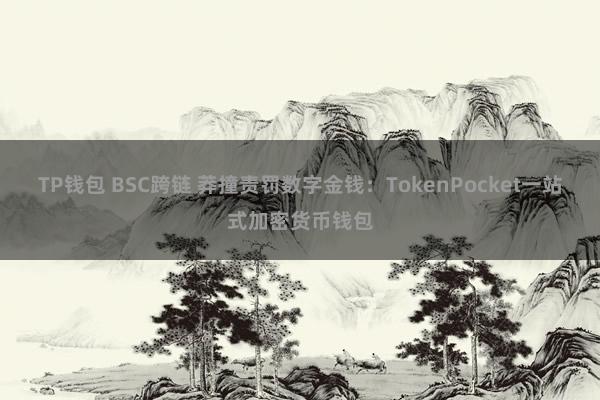 TP钱包 BSC跨链 莽撞责罚数字金钱：TokenPocket一站式加密货币钱包